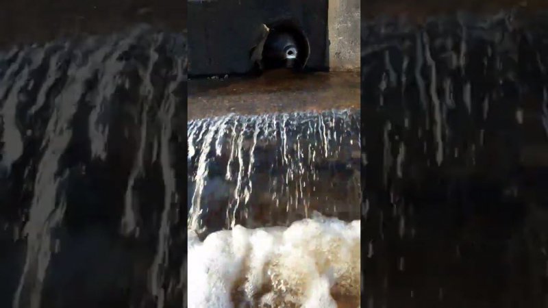 Шум воды