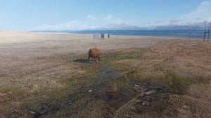 Иссык-Куль,  Чон-Сары-Ой вид с высоты. Issyk-Kul Lake Kyrgyzstan. 4k