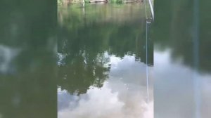 Отдых и рыбалка на Хопре