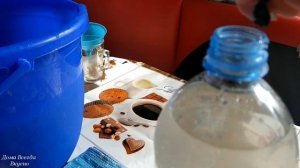 Квас из березового сока.Напиток из березового сока.Березовый сок с изюмом