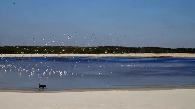 Карьер песка, г. Березовский смотреть онлайн