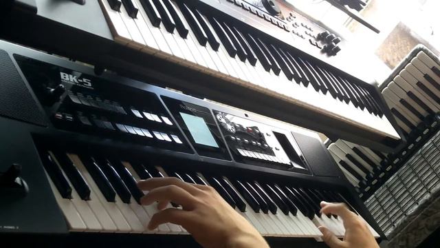 Palemiger Spatzen - Harmonikatijd ( Keyboard Cover ) Roland BK-5 & Juno Di смотреть онлайн
