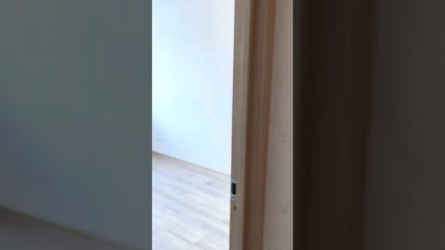 Принимаем у застройщика ЖК Северный