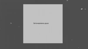 LUSTOVA   ЗАТОНИРОВАНА ДУША