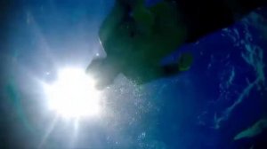 Звуки бассейна