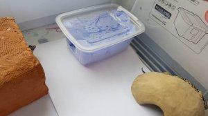 ? Содержание эублефаров/ уход за леопардовым гекконом ?