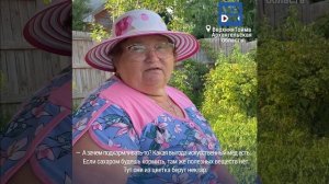 МЗЖ: Отчего звенит северный мёд?