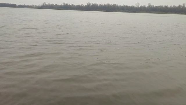 Река Обь. Могучая река. Вид на реку. Сибирская река. Барнаул у реки. Александр Романов. Столица мир