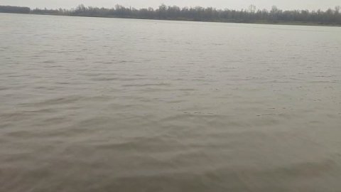 Река Обь. Могучая река. Вид на реку. Сибирская река. Барнаул у реки. Александр Романов. Столица мир