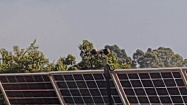 WOW , Have You ever seen teeth like that? смотреть онлайн