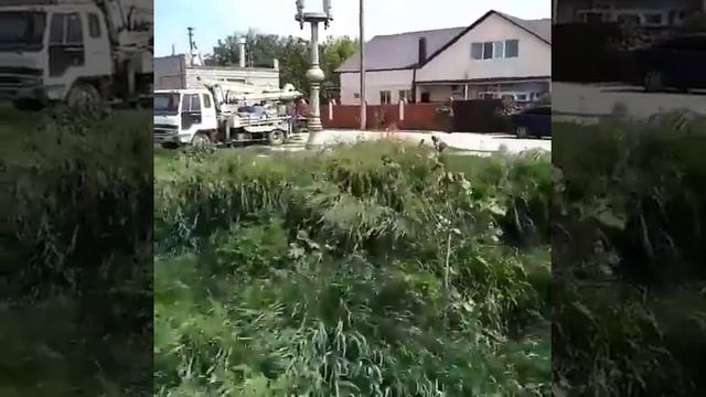 черная река из канализации течет по улице в поселке Витязево смотреть онлайн