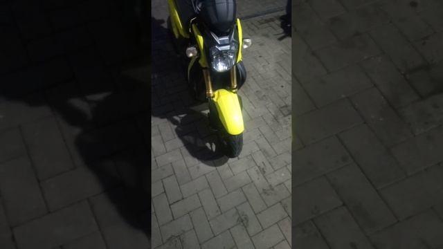 HONDA ZOOMER X