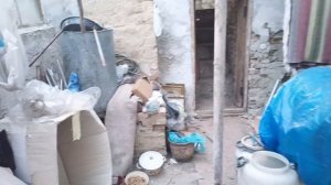 подземная теплица которой 40 лет