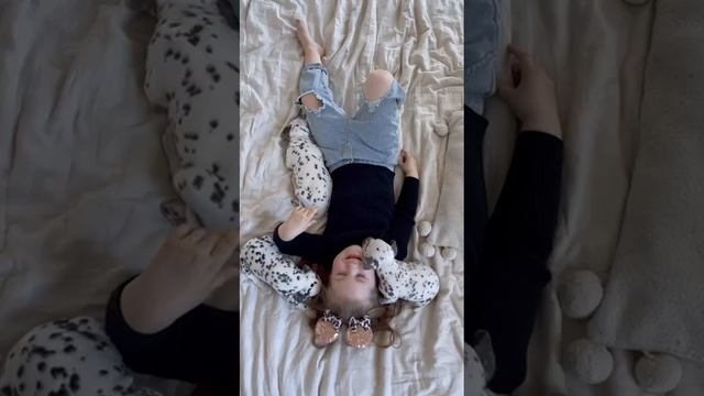 Щенки далматина