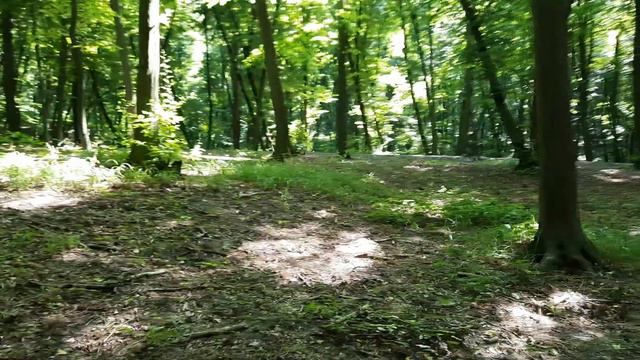 Игра в тенис и поход за грибами. смотреть онлайн