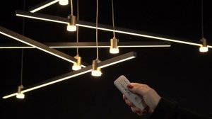 Подвесная люстра Arte Lamp ERRAI A2195SP-5BK