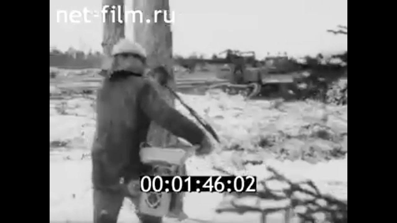 1979г. Надвоицы. леспромхоз. Карелия.