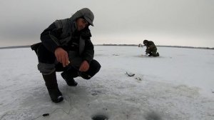 Ловля крупного леща зимой. Зимняя рыбалка в палатке. Часть 2