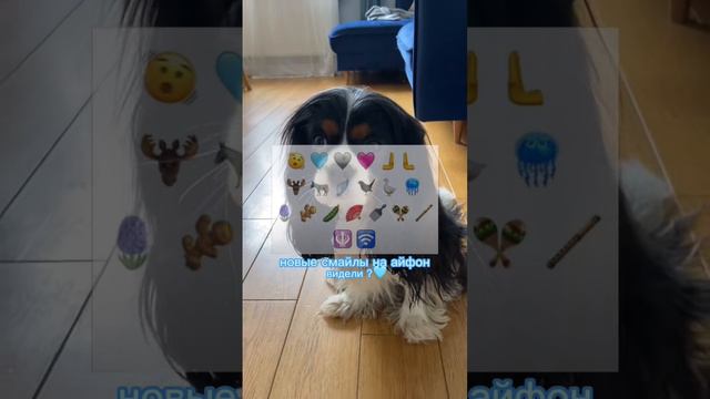 новые смайлы на айфон 🫨 смотреть онлайн