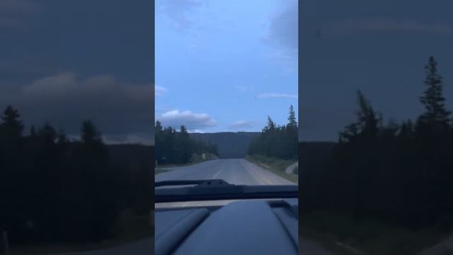 #канадавлог Переезжать в Ньюфаундленд или нет? Мое мнение о жизни в Ньюфаундленде, Канада.