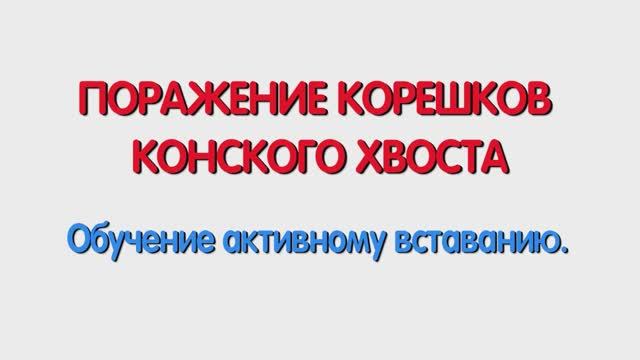 С. Поражение корешков конского хвоста. Обучение активному вставанию.