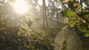 УТРЕННЯЯ МЕДИТАЦИЯ НА КАЖДЫЙ ДЕНЬ. МЕДИТАЦИЯ ДЛЯ СПОКОЙСТВИЯ. СОЗДАЙ СВОЁ ВОЛШЕБНОЕ УТРО.