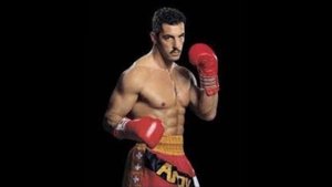 Энди Хуг — краткая биография