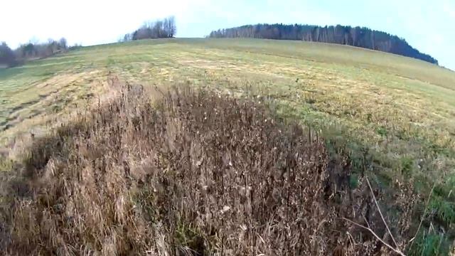 Охота на зайца по чернотропу без собаки