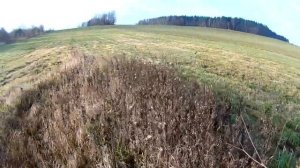 Охота на зайца по чернотропу без собаки