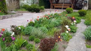 Цветник непрерывного цветения в мае.