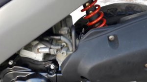 Выбор японского мопеда, продам Honda Dio af-27 без пробега по Украине.