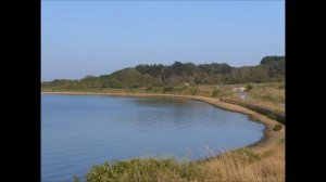 Panasonic DMC-LF1 Test Video & Photo Shots.