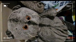 Знакомство с вами?