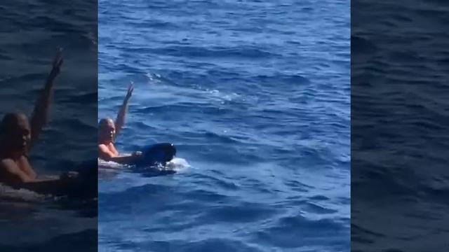 Анну Семенович в купальнике сравнили с бегемотом смотреть онлайн