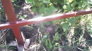 Установка забора из профлиста в Брянске