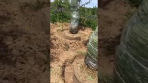Упаковка кома мешковиной и сеткой