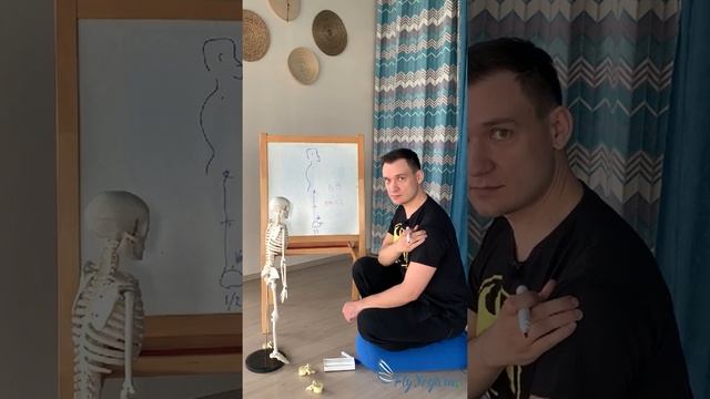 Диагностика осанки
