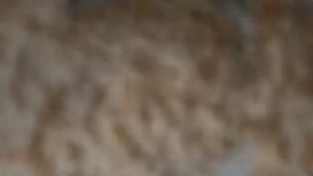 Салат "Царский" смотреть онлайн