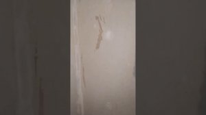 надо ли шпатлёвать гипсокартон под обой