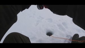 ЛУЧШАЯ КОПИЯ ЯПОНСКОГО РАТТЛИНА IMA KOUME