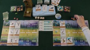 Настольная игра "Крылья". Правила + Let's Play.