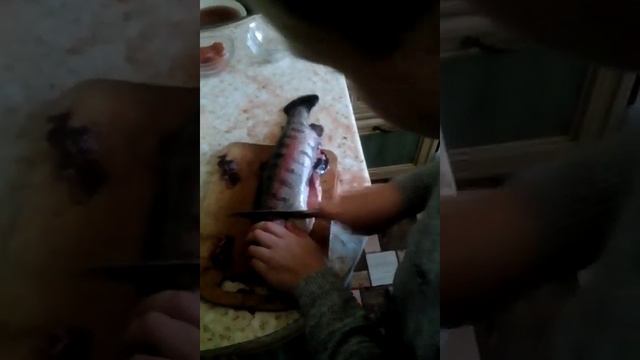 радужная форель в духовке. смотреть онлайн