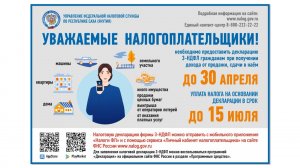 Декларационная кампания 2024