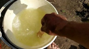 Пожелтели листья на огурцах.Что делать?