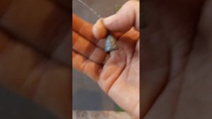 Монтаж вставки для зимней ловли питерской корюшки, на финском заливе.