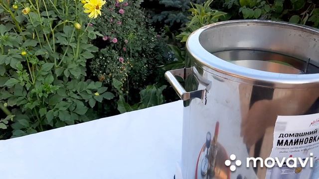 Тушенка в Домашних Условиях: Просто, Быстро и Очень Вкусно