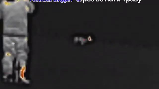 Тепловизор vs цифровой ночник смотреть онлайн