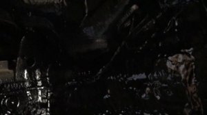 Зачем делать шумоизоляцию колесных арок снаружи? Для снижения шума шин (гул резины). BMW 3 series.