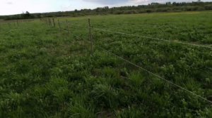 Электро-пастух установлен. Расходы. Работы моего брата Алексея.