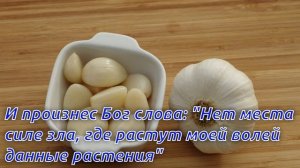 Почему нечистая сила боится чеснока